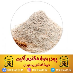 جوانه گندم
