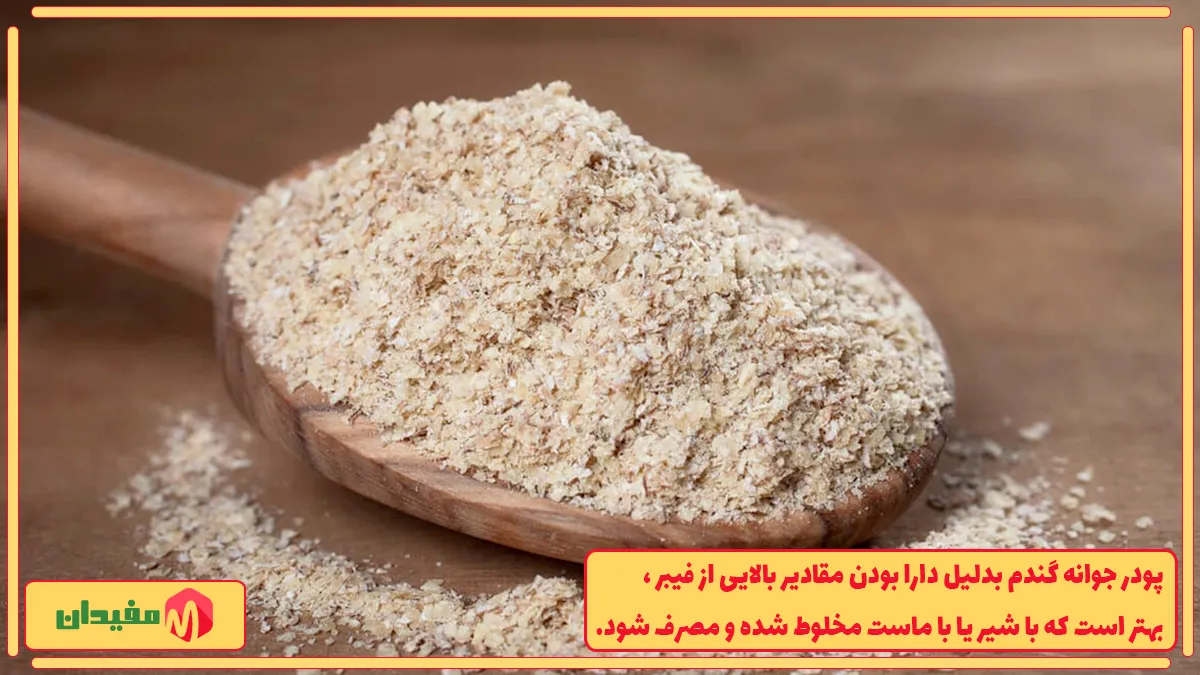 بهترین مارک پودر جوانه گندم برای چاقی