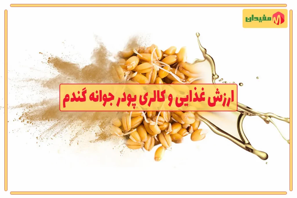 ارزش غذایی پودر جوانه گندم و میزان کالری 1 ارزش غذایی و کالری پودر جوانه گندم