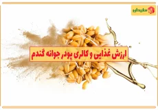 ارزش غذایی و کالری پودر جوانه گندم