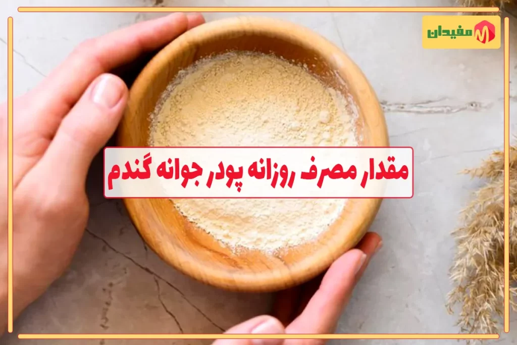 مقدار مصرف روزانه پودر جوانه گندم برای چاقی و لاغری 1 مقدار مصرف روزانه پودر جوانه گندم