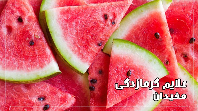 درمان-گرمازدگی-هندوانه