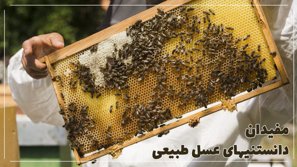 Everything-you-need-to-know-about-honey
