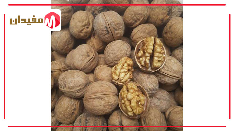 top-view-walnuts