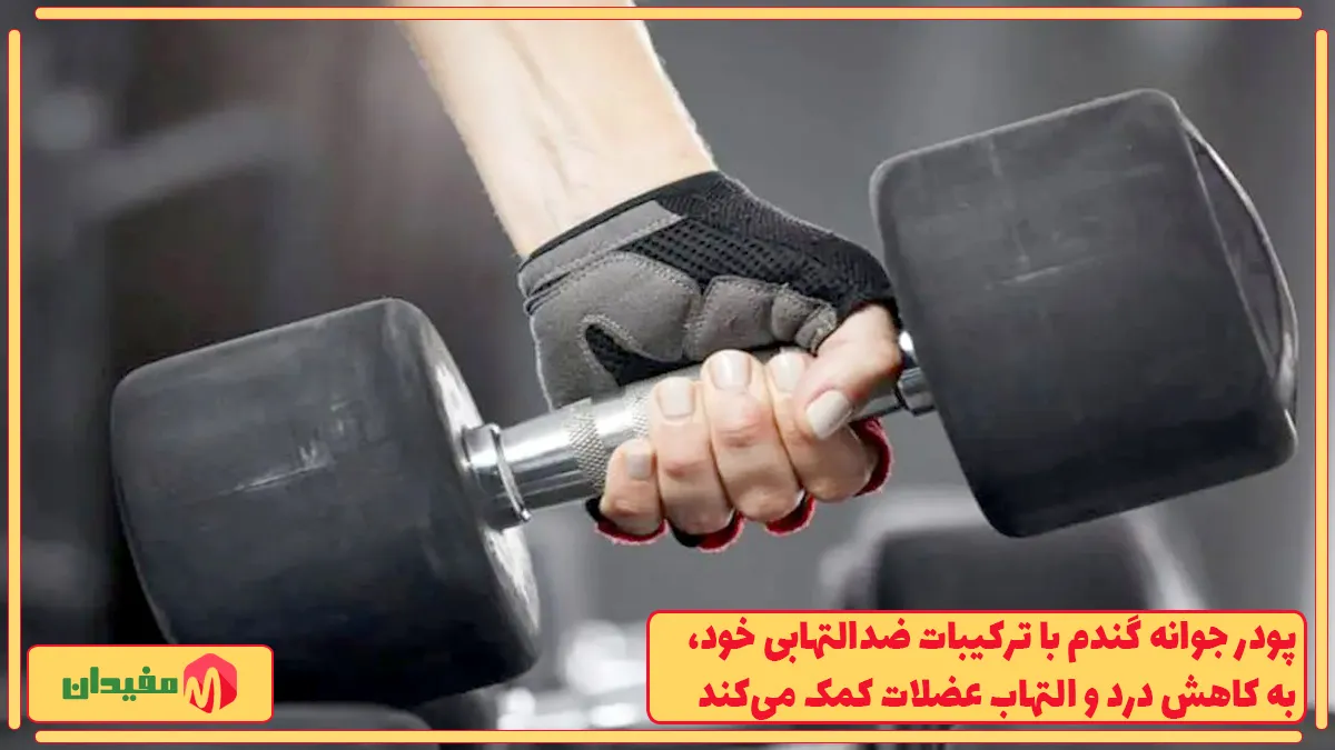افزایش انرژی و استقامت با پودر جوانه گندم