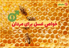 Benefits-of-natural-honey-for-men