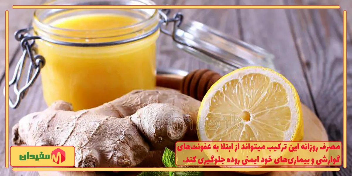 تعادل میکروبیوم روده