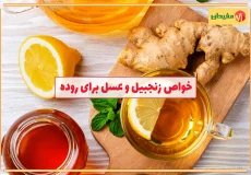 خواص زنجبیل و عسل برای روده