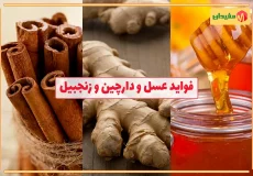 فواید عسل و دارچین و زنجبیل