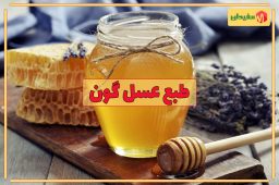 عسل گون چه طبعی دارد