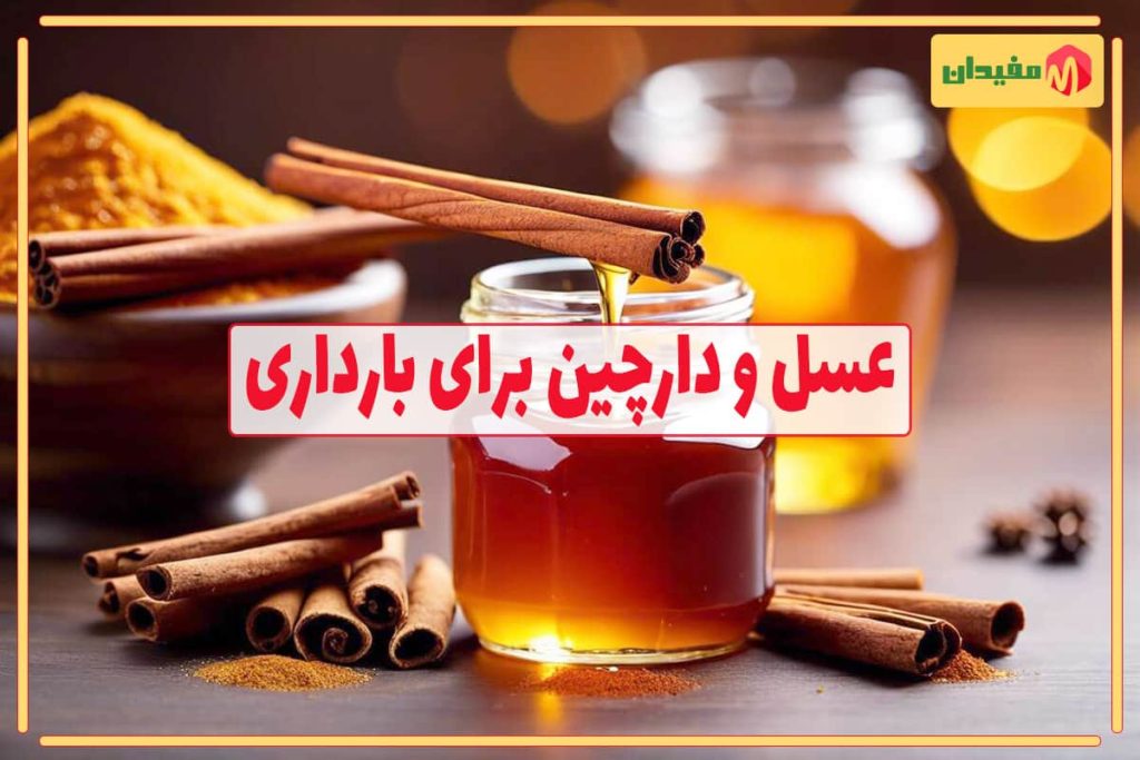 خواص عسل و دارچین برای بارداری که قطعا نمیدانید 1 خواص عسل و دارچین برای بارداری