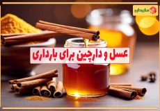 خواص عسل و دارچین برای بارداری