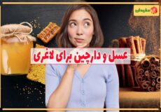 خواص عسل و دارچین برای لاغری