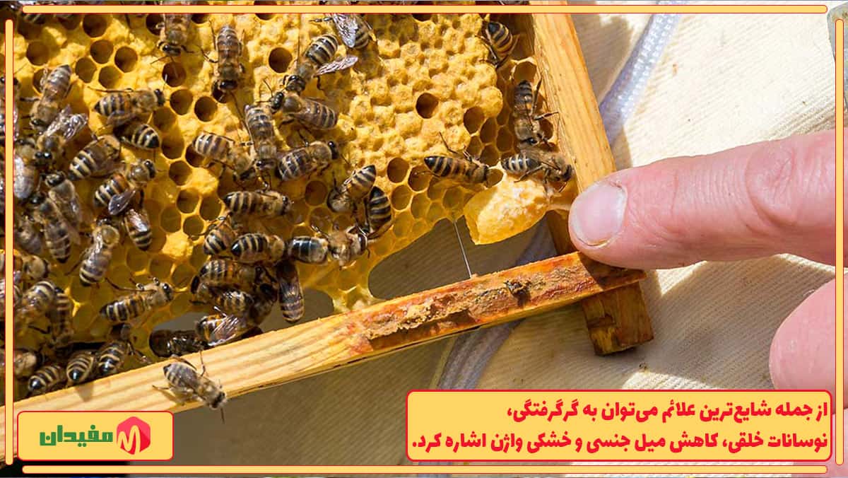کاهش شدت علائم یائسگی