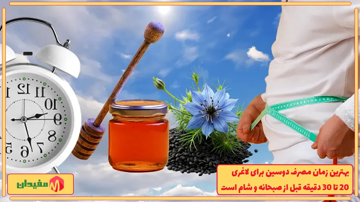  ۲۰ تا ۳۰ دقیقه قبل از صبحانه و شام